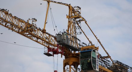 Montaje industrial planta logística